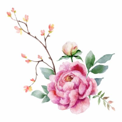 Pivoine rose façon aquarelle