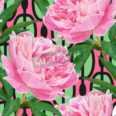 Tableau  Pivoines et feuilles sur un fond coloré