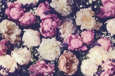 Pivoines et gypsophiles vintage