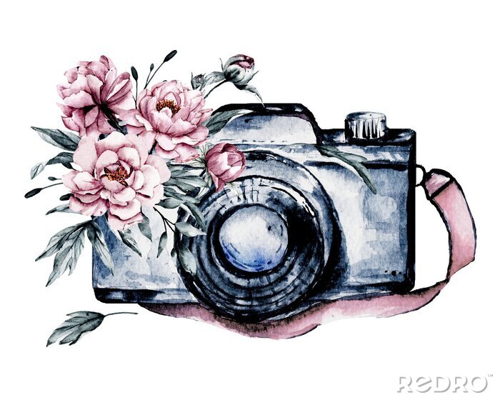Tableau  Pivoines roses sur un appareil photo aquarelle