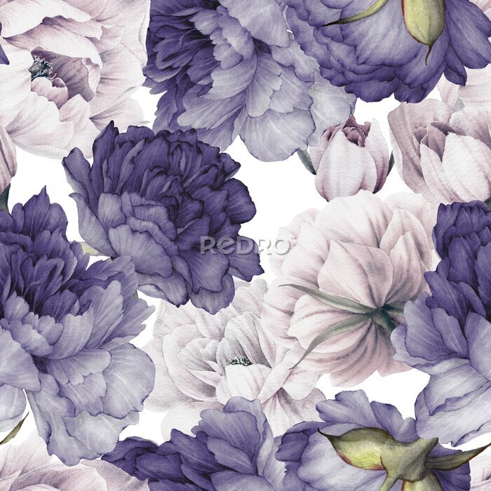 Tableau  Pivoines violettes et blanches