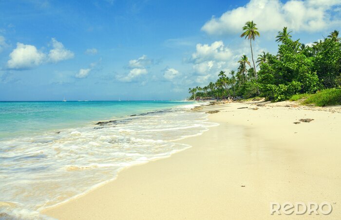 Tableau  Plage 3D et douces vagues