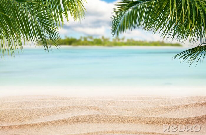 Tableau  Plage de sable sous les palmiers avec vue sur l'île