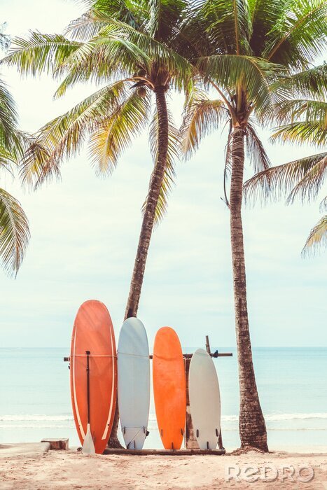 Tableau  Planches de surf sur la plage