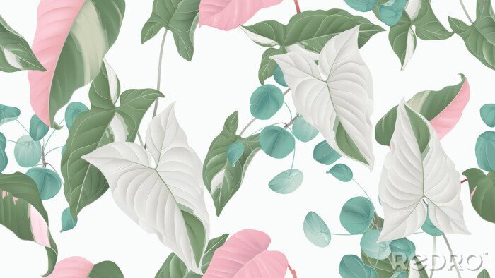 Tableau  Plantes aux couleurs pastel