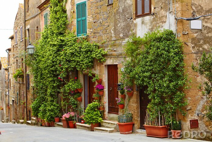Tableau  Plantes colorées ruelle ancienne