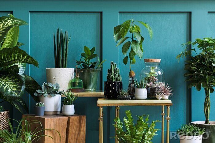 Tableau  Plantes en pot sur le fond d'un mur végétalisé