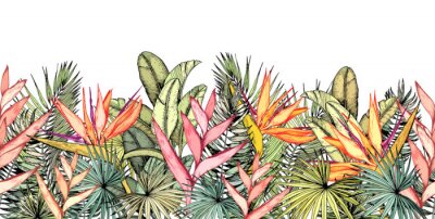 Tableau  Plantes et feuilles tropicales colorées sur fond blanc