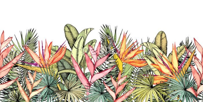 Tableau  Plantes et feuilles tropicales colorées sur fond blanc