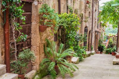 Plantes exotiques près des murs