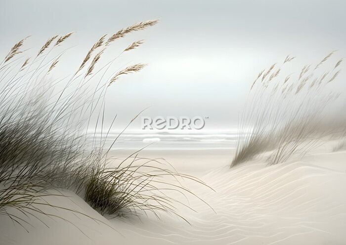 Tableau  Plantes sur les dunes de sable avec vue sur la mer