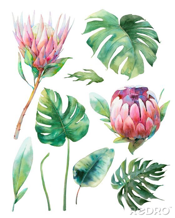 Tableau  Plantes tropicales aux feuilles de formes variées