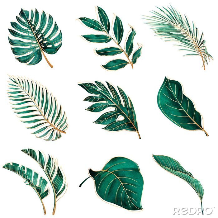 Tableau  Plantes tropicales dans un style glamour