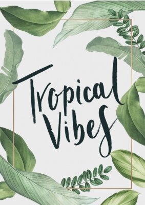 Plantes tropicales disposées dans un cadre