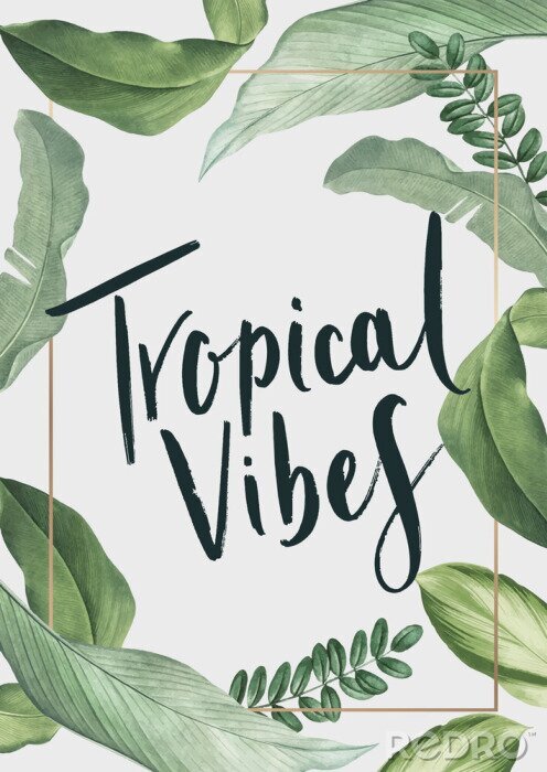 Tableau  Plantes tropicales disposées dans un cadre