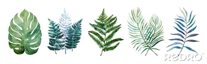 Tableau  Plantes tropicales sous forme de feuilles