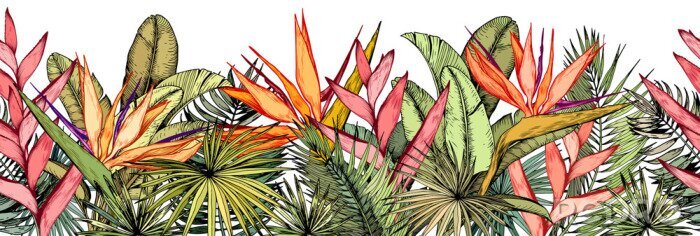 Tableau  Plantes tropicales sur fond blanc