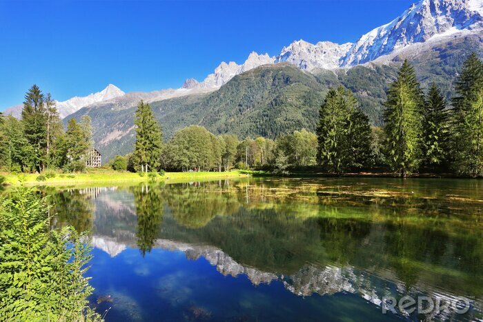 Tableau  Plantes vertes et montagnes grises