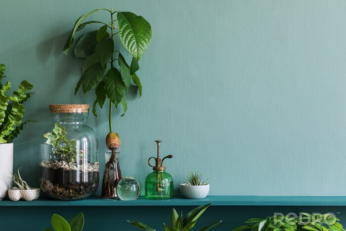 Tableau  Plantes vertes sur l'étagère