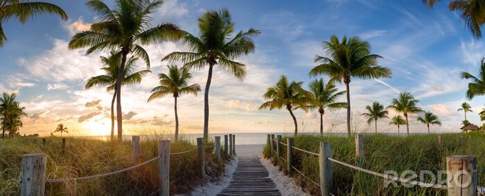 Tableau  Pont et palmiers en Floride