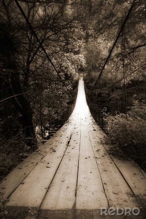 Tableau  Pont forêt sombre