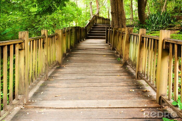 Tableau  Pont forêt vert luisant