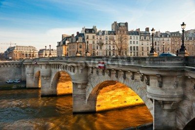 Tableau  Pont neuf, Ile de la Cite, Paris - France