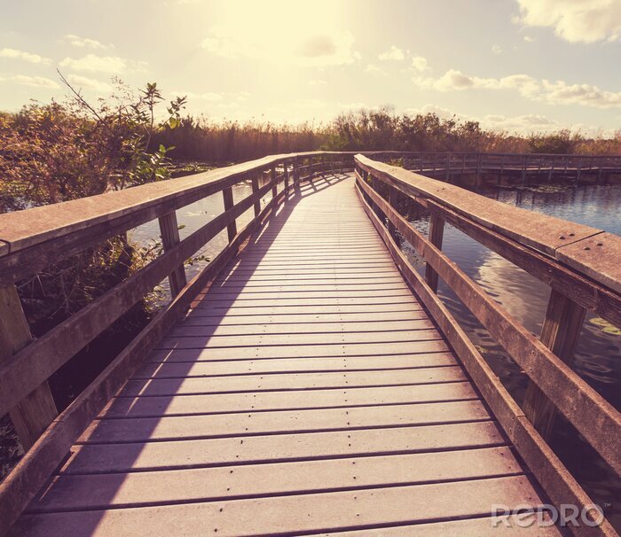 Tableau  Pont qui tourne sur le lac