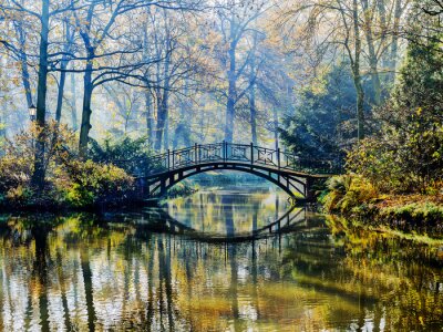 Pont romantique parc automne