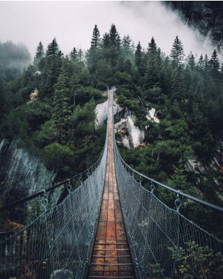 Pont suspendu forêt brumeuse