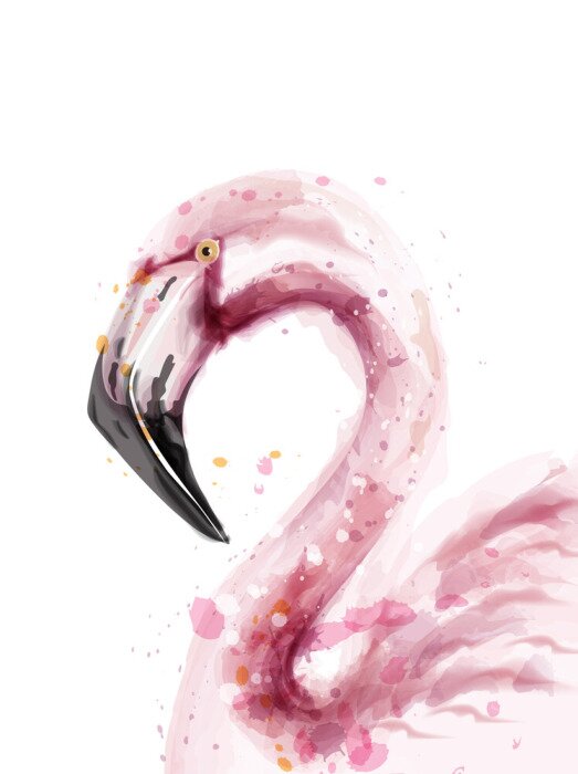 Tableau  Portrait à l'aquarelle d'un flamant rose