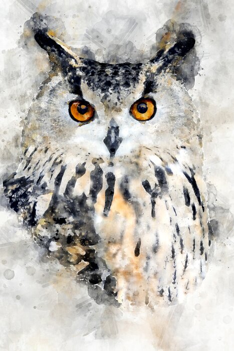 Tableau  Portrait à l'aquarelle d'un hibou