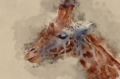 Portrait à l'aquarelle d'une girafe