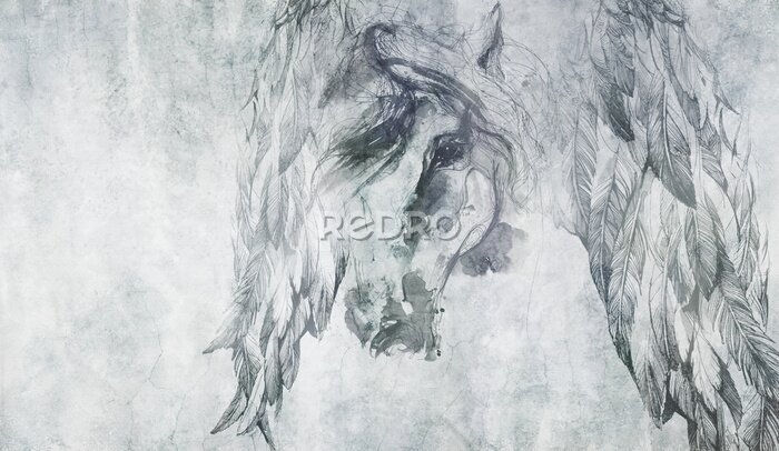 Tableau  Portrait abstrait d’un cheval sur un mur en béton