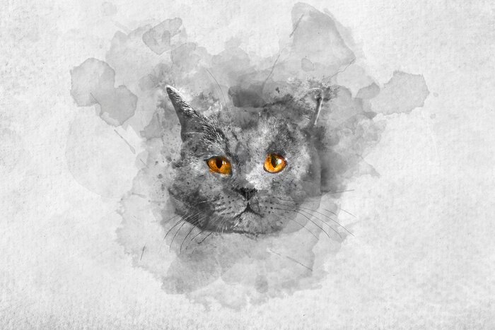 Tableau  Portrait aquarelle de chat British shorthair mignon.