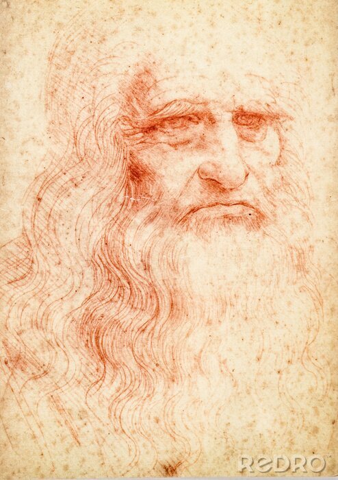 Tableau  Portrait de Leonardo da vinci