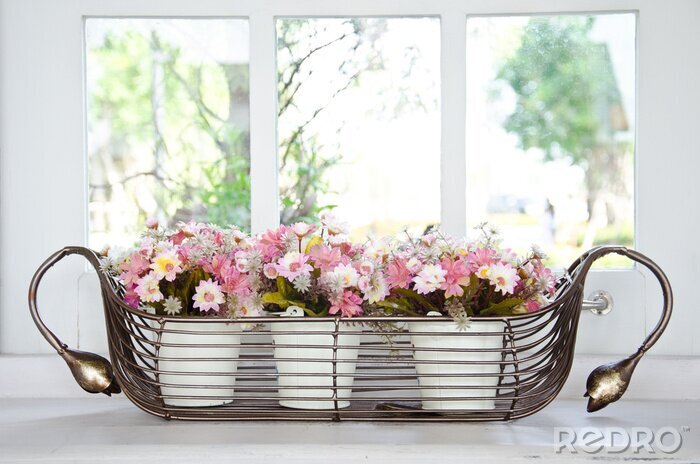 Tableau  pot de fleurs en face d'une fenêtre.