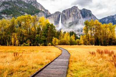 Tableau  Prairie avec promenade dans la vallée du parc national de Yosemite à l'automne