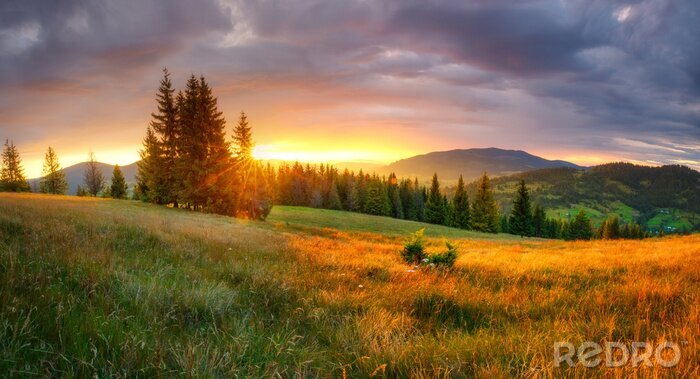 Tableau  Prairie et lever de soleil