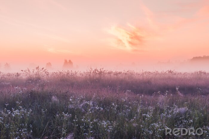 Tableau  Prairie pourpre
