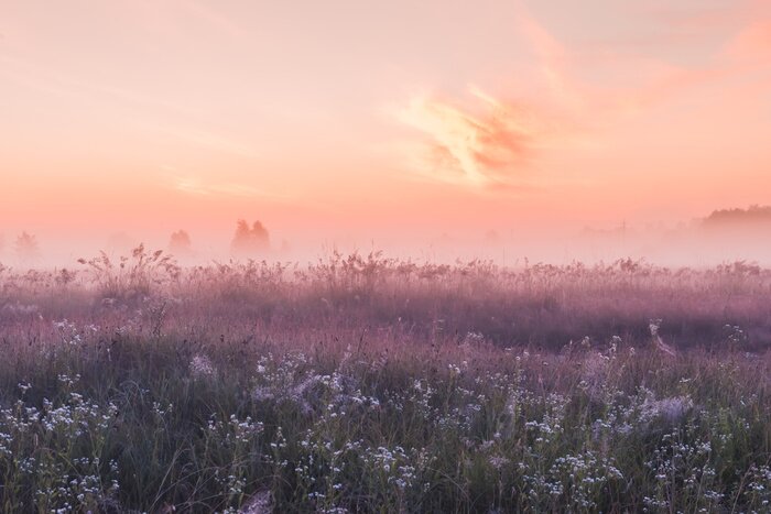 Tableau  Prairie pourpre