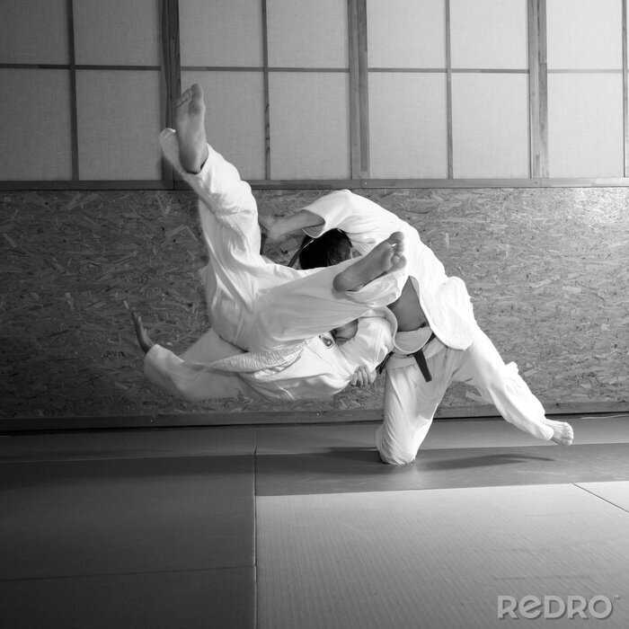 Tableau  Présentation sportive judo