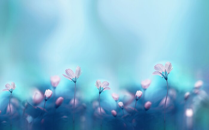 Tableau  Primevères dans la clairière