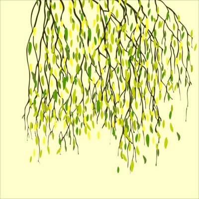 Printemps de fond avec des feuilles vertes, des branches de bouleau.