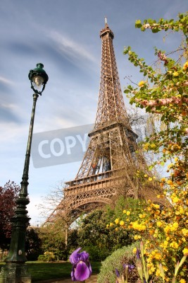 Tableau  Printemps matin avec Tour Eiffel, Paris, France