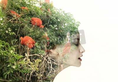 Tableau  Profil femelle surréaliste artistique dans une métamorphose avec la nature