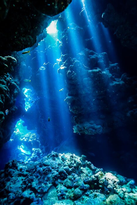 Tableau  Rayons de soleil dans l'océan