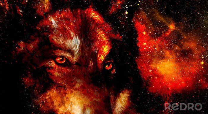 Tableau  Regard de loup