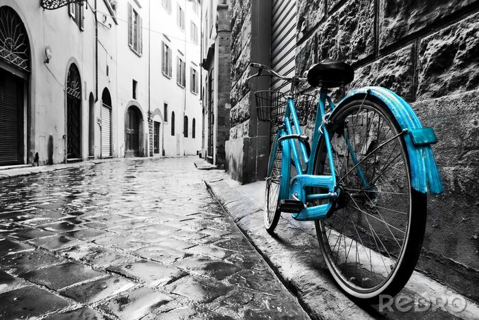 Tableau  Retro blue bike on old town street.