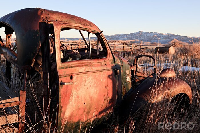 Tableau  Rétro voiture dans une clairière